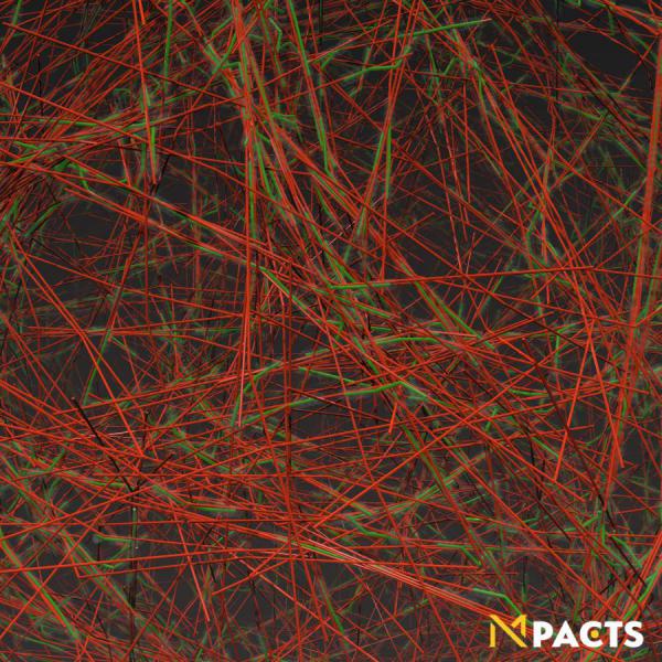 Simulation of a polymer network with actin and myosin filaments